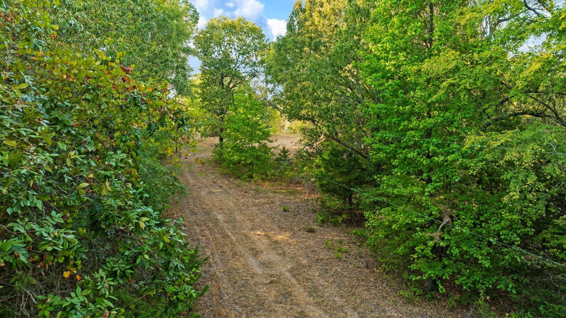 6.65 acres in Lamar County - photo 7