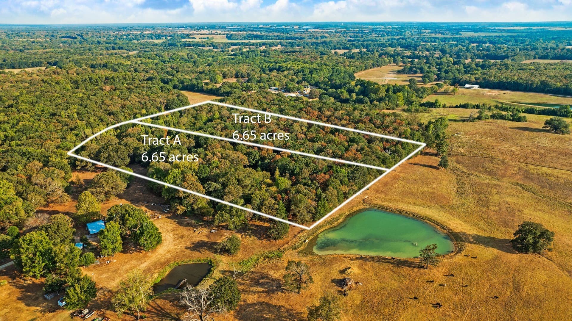 6.65 acres in Lamar County - photo 4