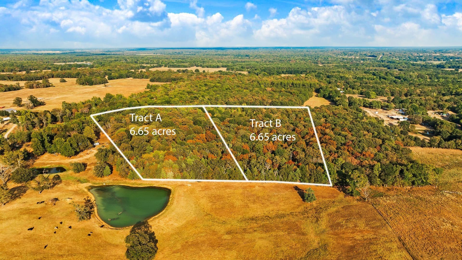 6.65 acres in Lamar County - photo 3