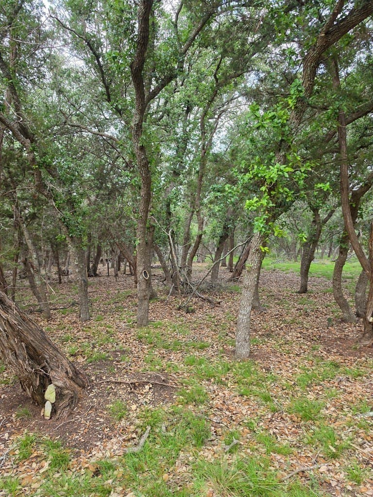 2.01 acres in Blanco County - photo 12