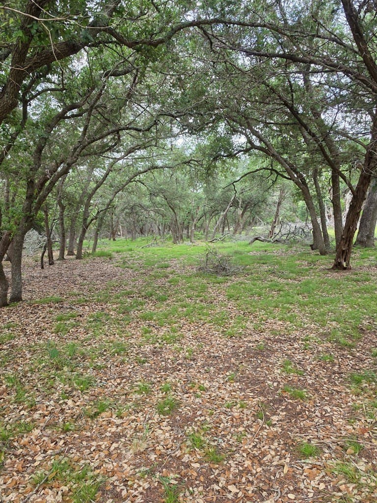 2.01 acres in Blanco County - photo 15