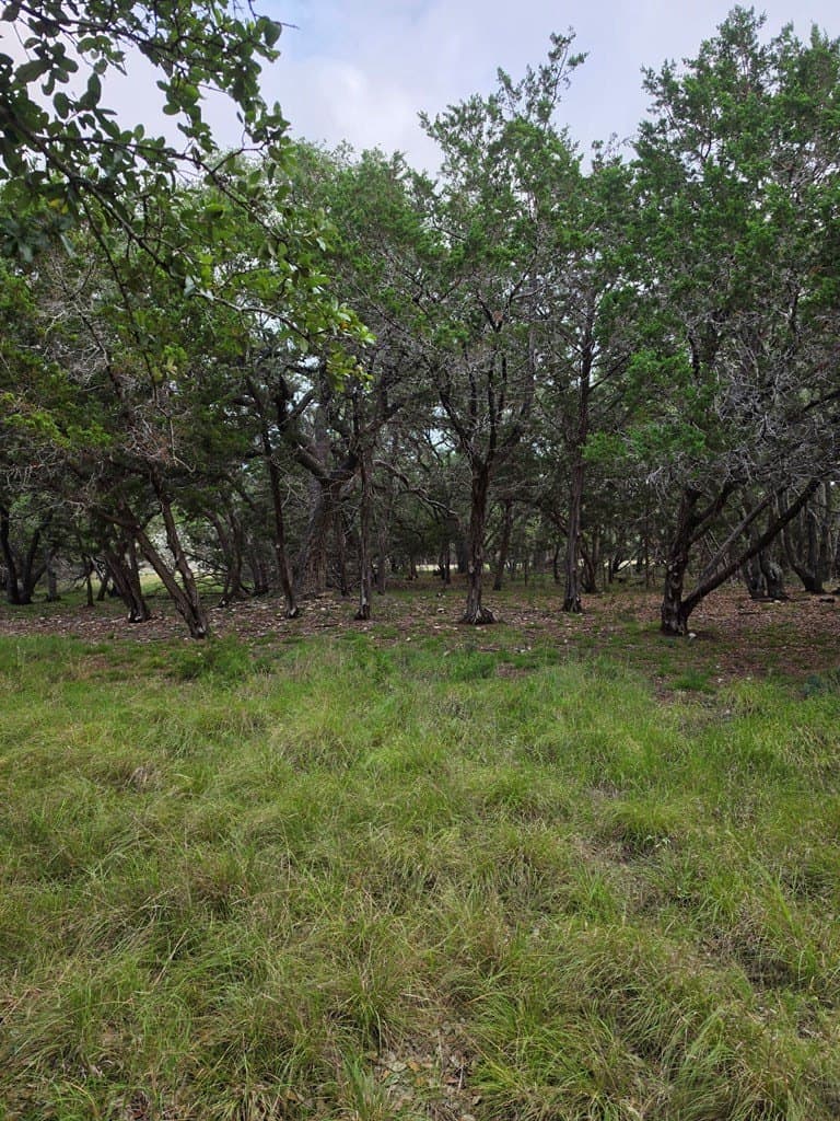 2.01 acres in Blanco County - photo 14