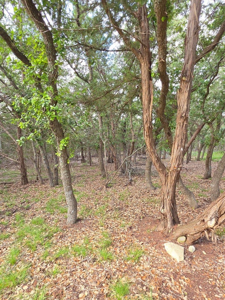 2.01 acres in Blanco County - photo 16