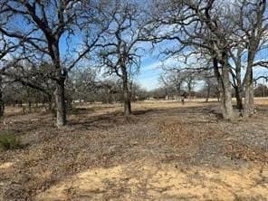 1 acres in Somervell County gallery image 2