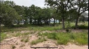 1 acres in Somervell County gallery image 3