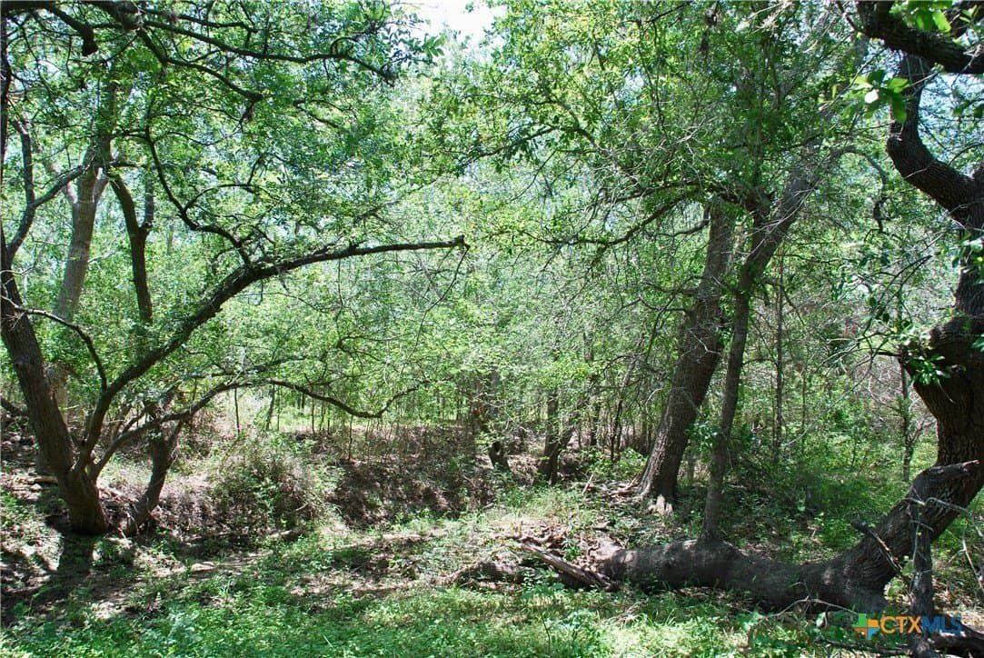 13.63 acres in Fayette County - photo 20