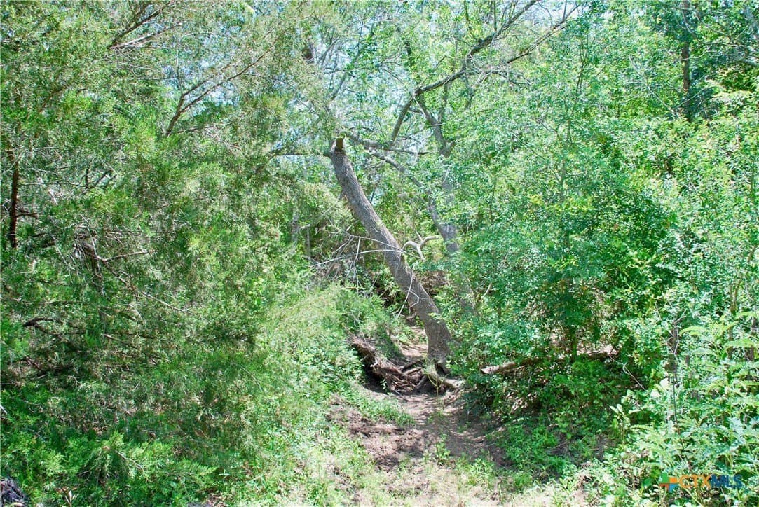 13.63 acres in Fayette County - photo 21