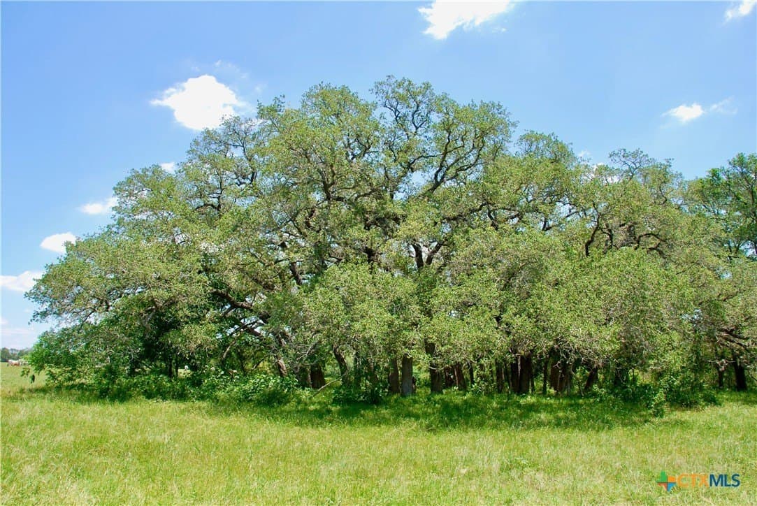 13.63 acres in Fayette County - photo 15