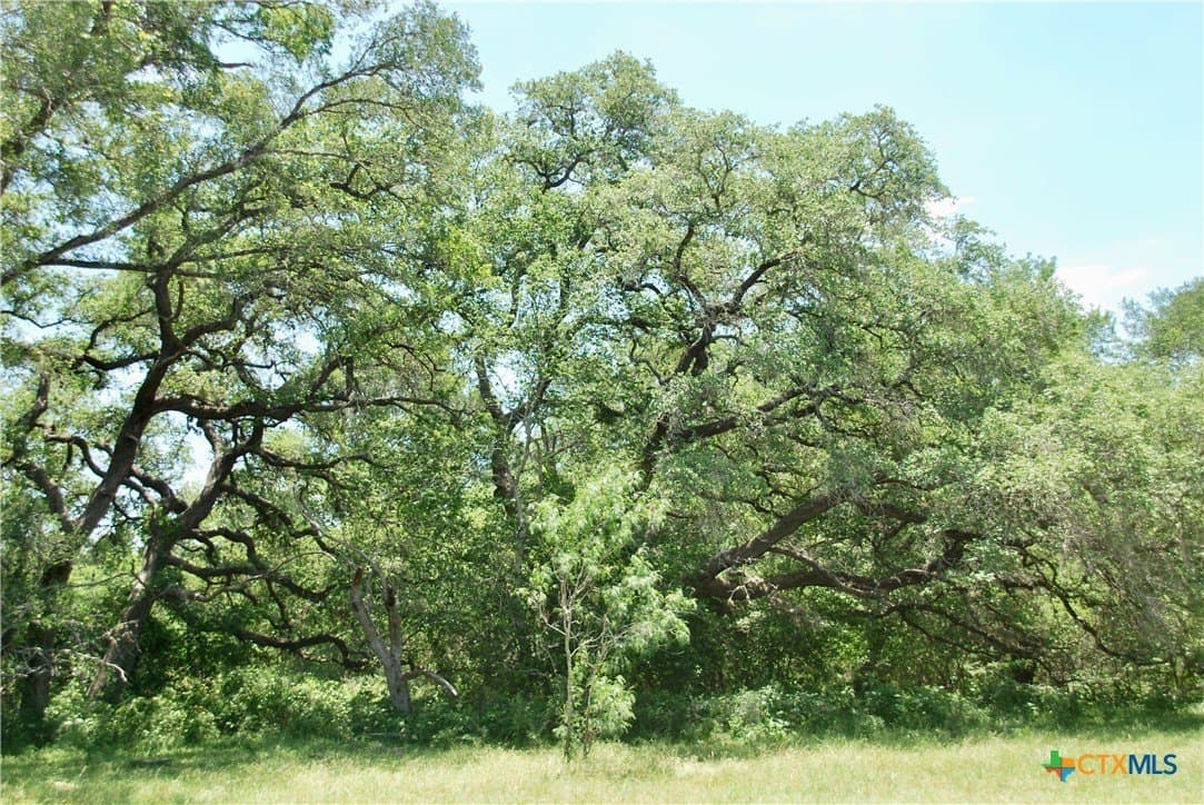 13.63 acres in Fayette County - photo 8