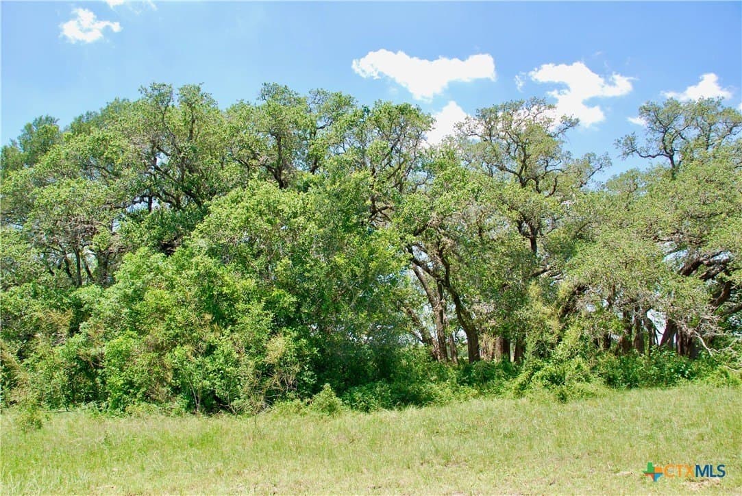 13.63 acres in Fayette County - photo 23