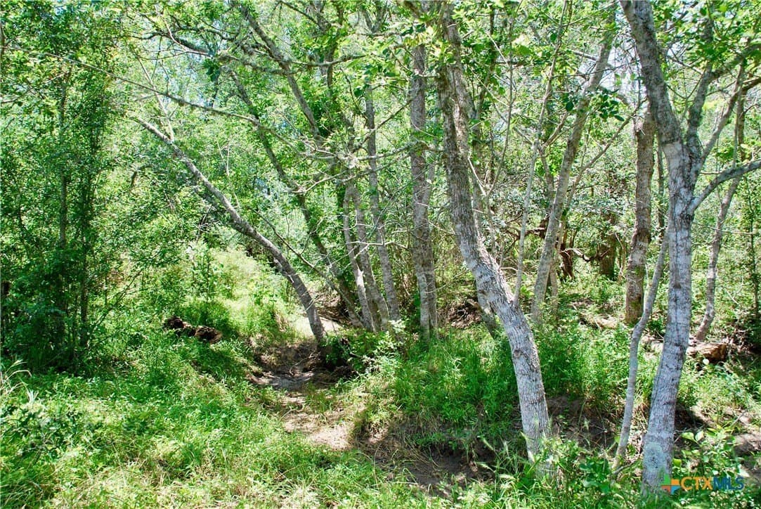 13.63 acres in Fayette County - photo 18