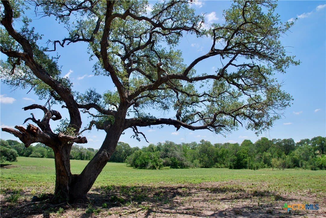 13.63 acres in Fayette County - photo 28