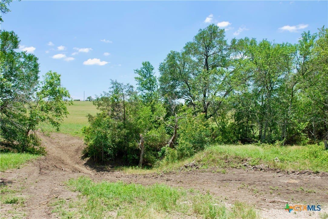 13.63 acres in Fayette County - photo 25