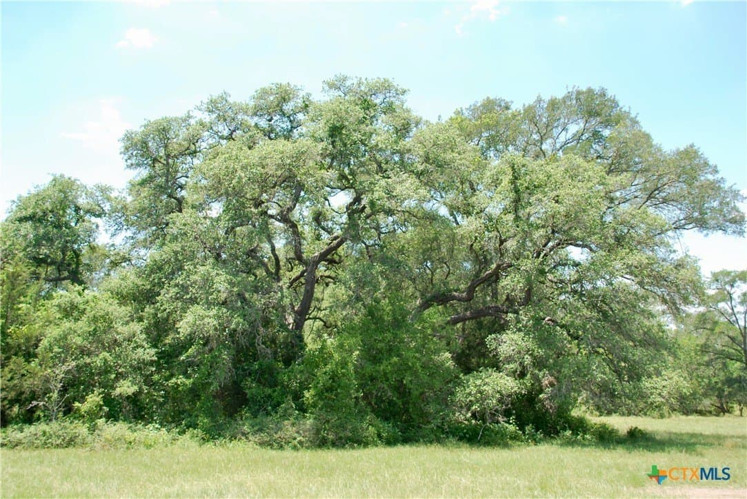 13.63 acres in Fayette County - photo 16