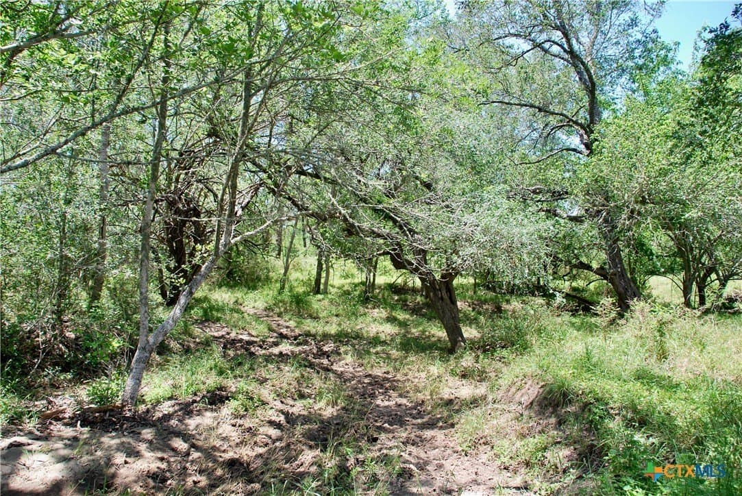 13.63 acres in Fayette County - photo 19