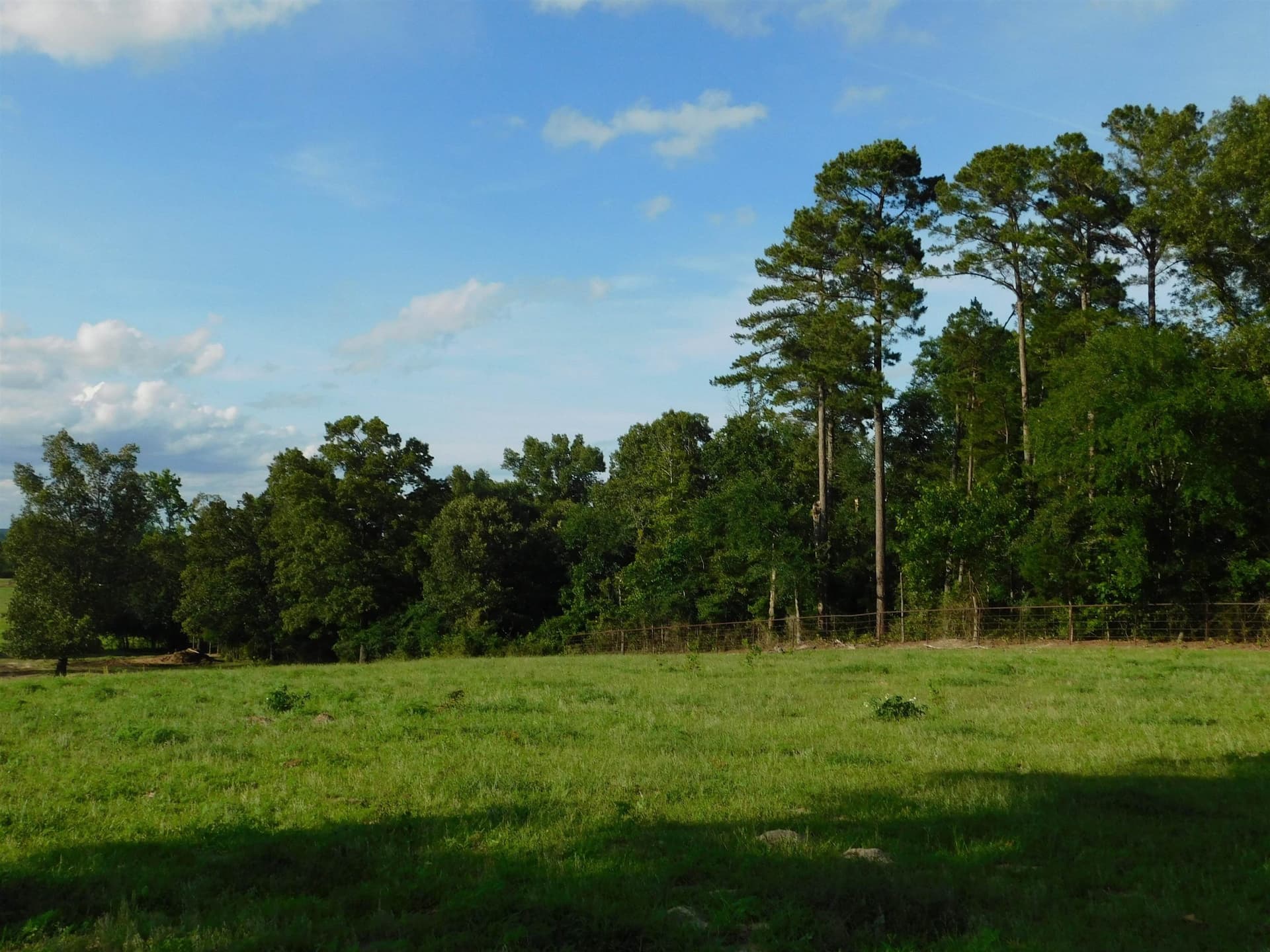 13 acres in Texas County - photo 6