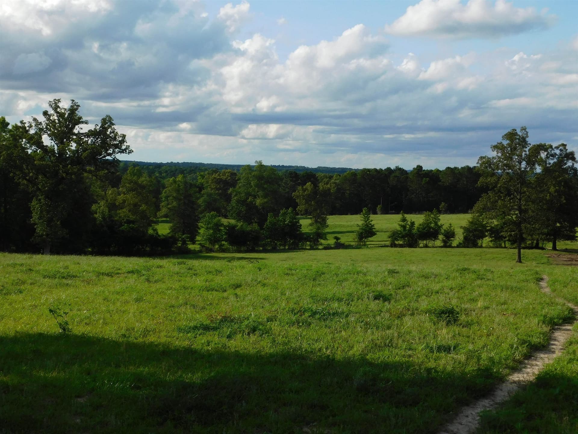 13 acres in Texas County featured view