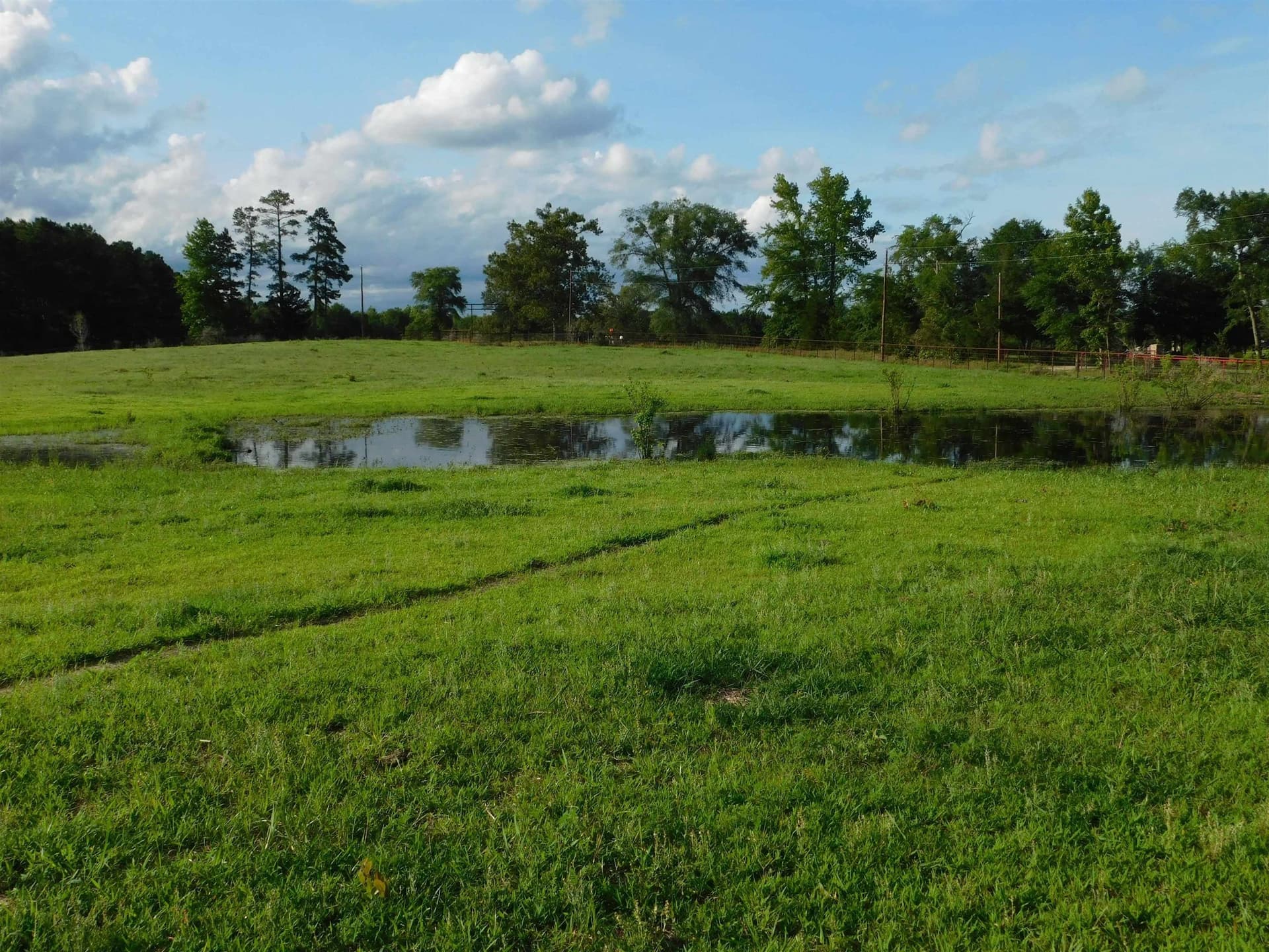 13 acres in Texas County - photo 8