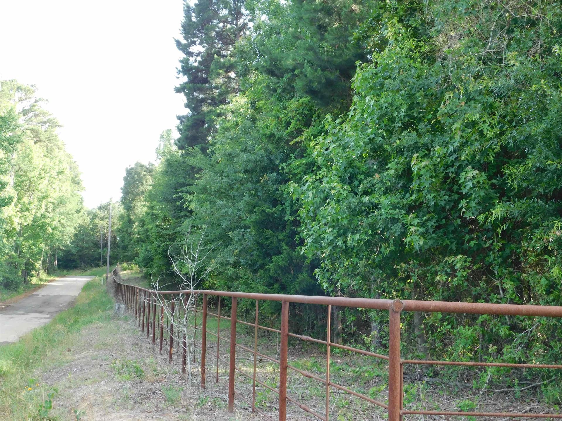 13 acres in Texas County gallery image 2