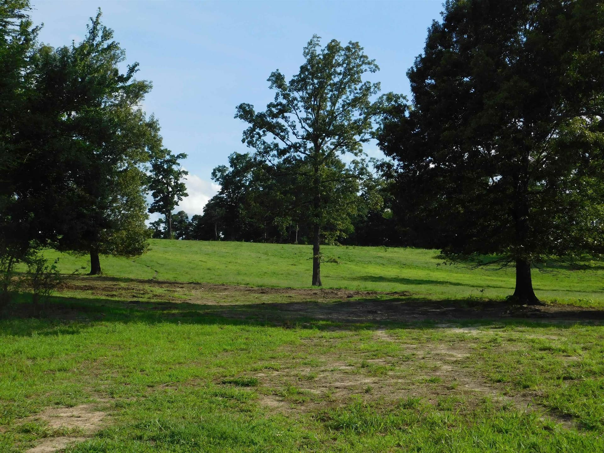 13 acres in Texas County gallery image 3