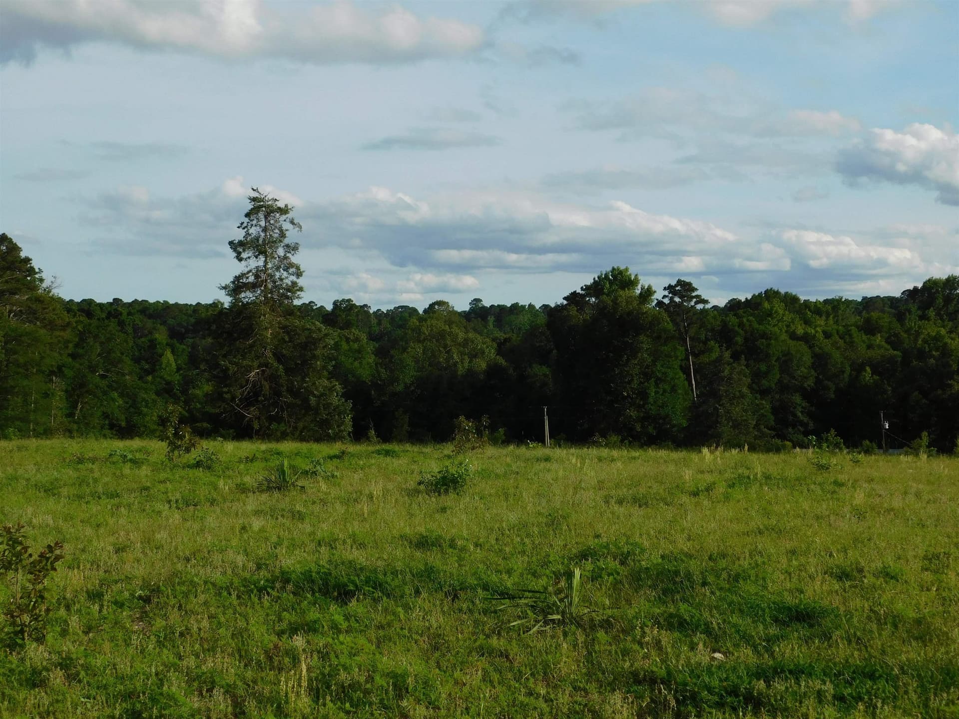 13 acres in Texas County