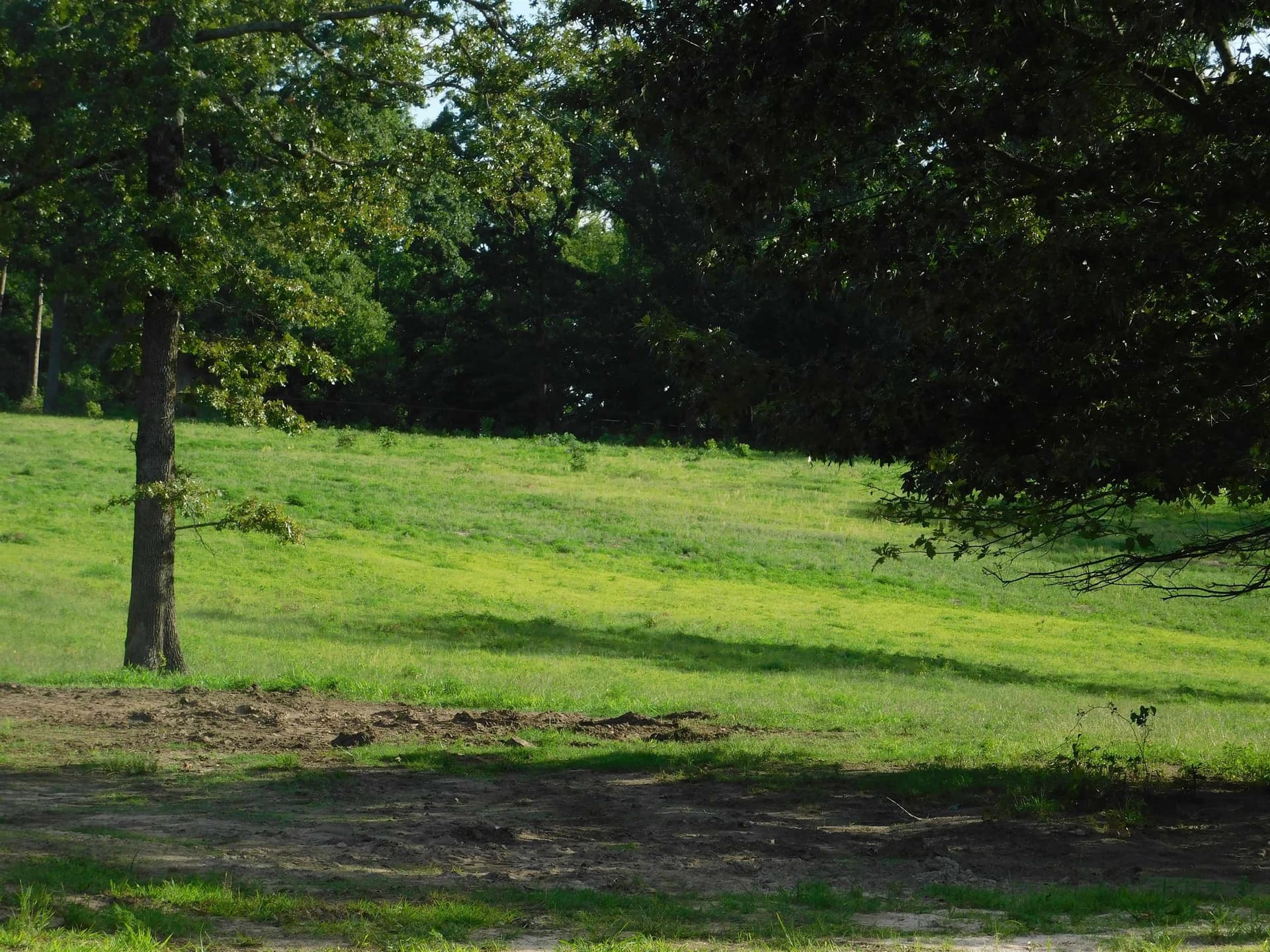 13 acres in Texas County gallery image 4