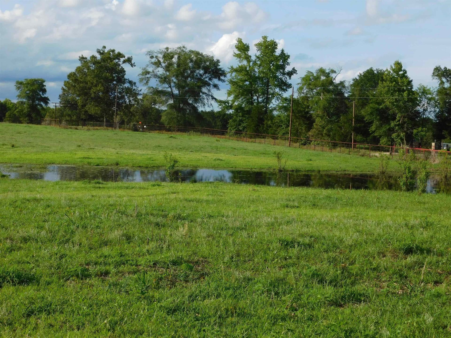 13 acres in Texas County - photo 7