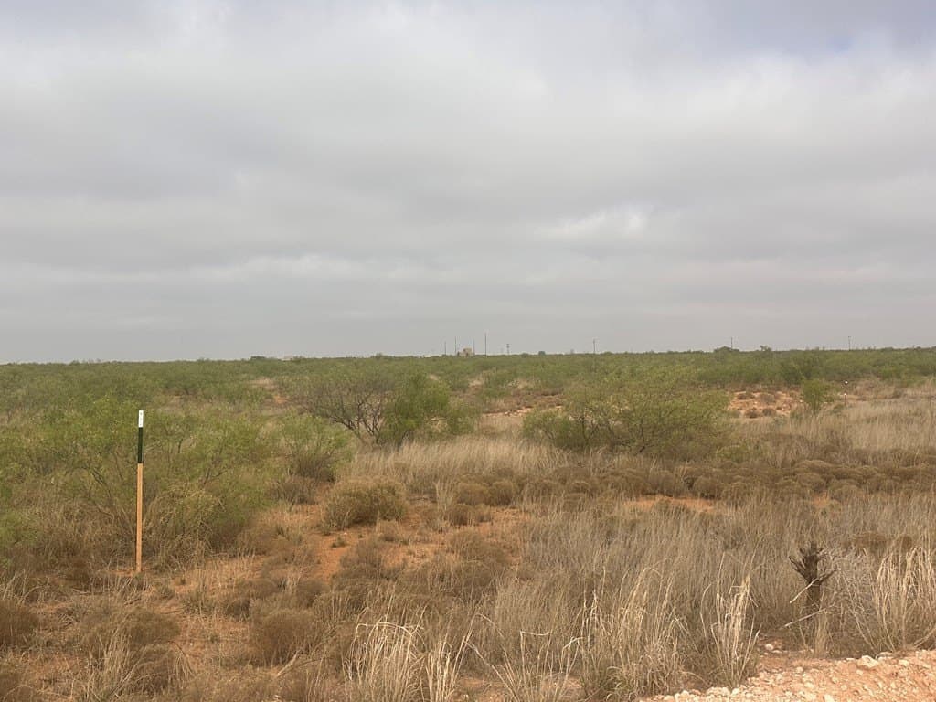 21.84 acres in Gaines County gallery image 2