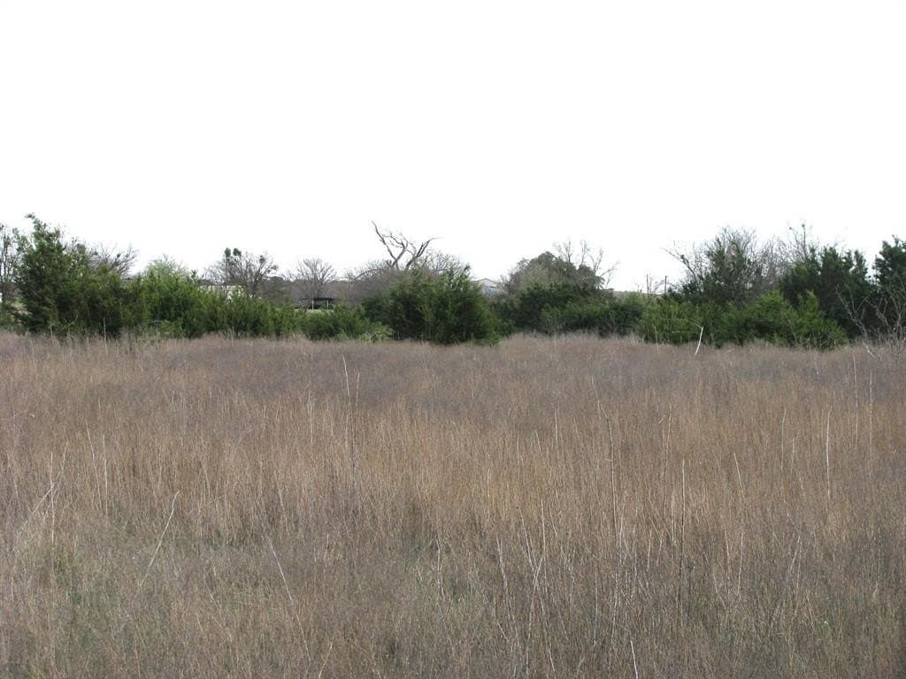 19.95 acres in Coryell County gallery image 3