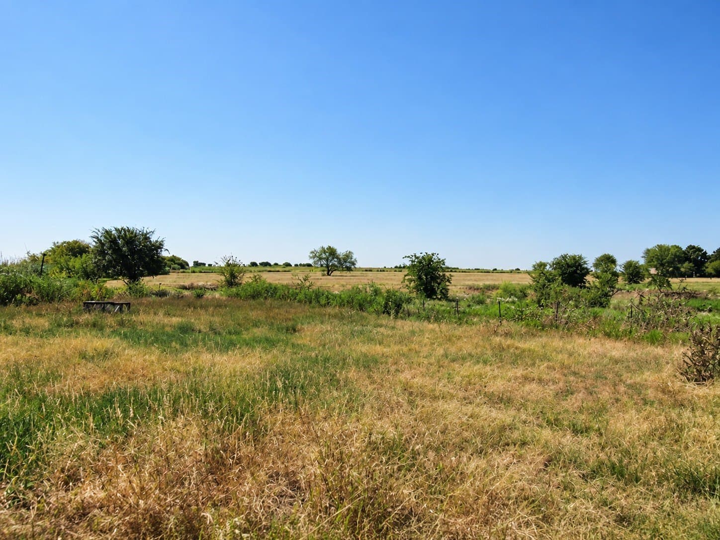 3 acres in Johnson County - photo 13
