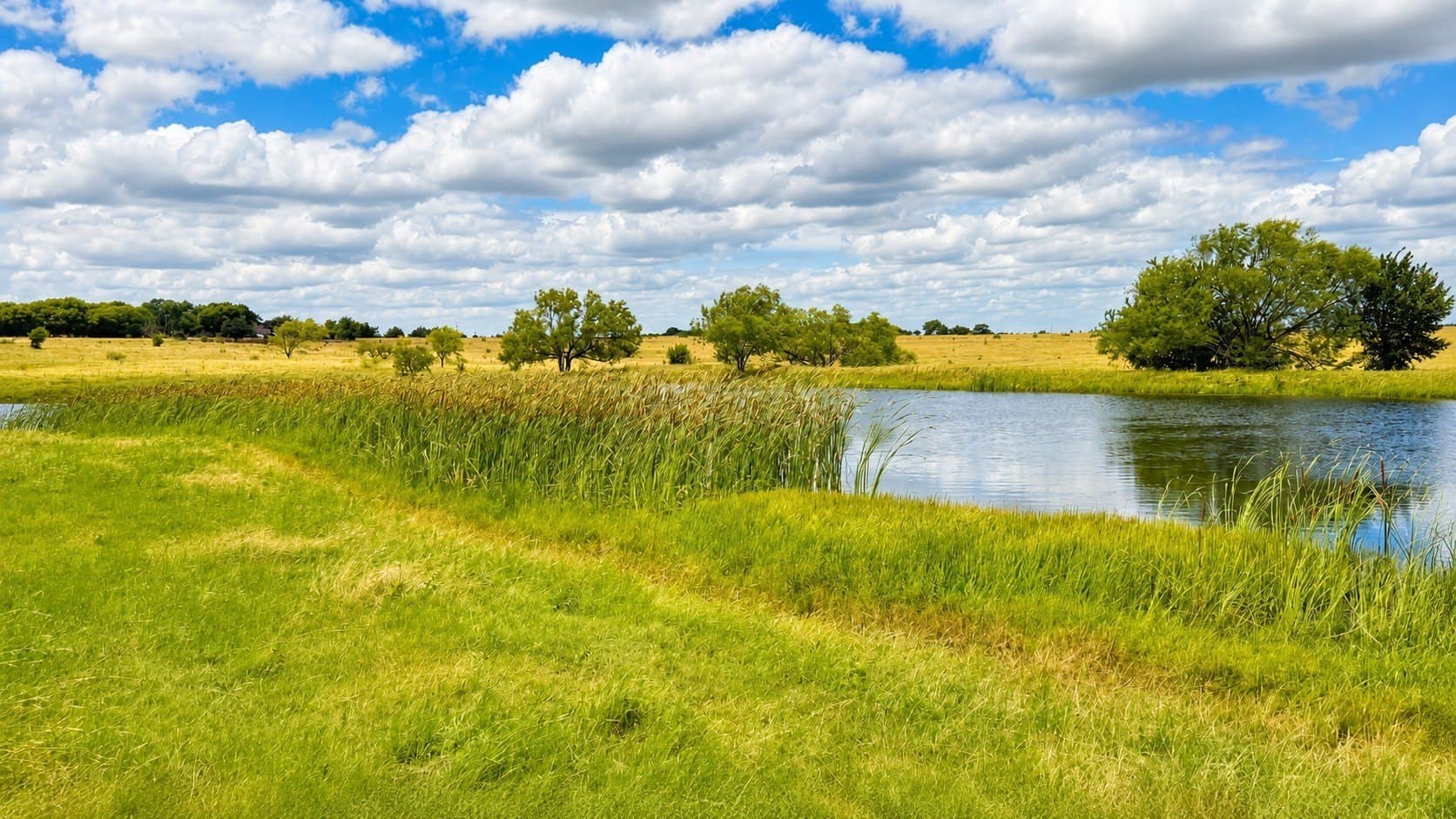 44.35 acres in Cooke County - photo 18