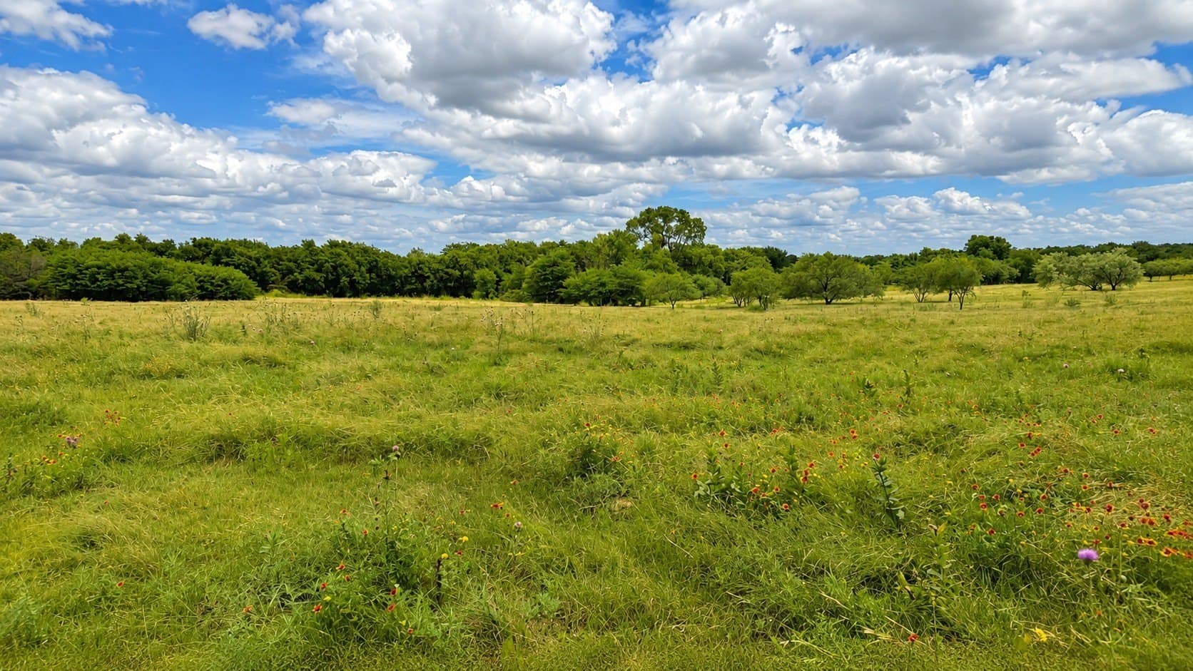 44.35 acres in Cooke County - photo 16