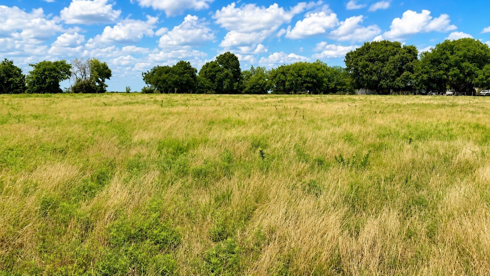 44.35 acres in Cooke County - photo 15