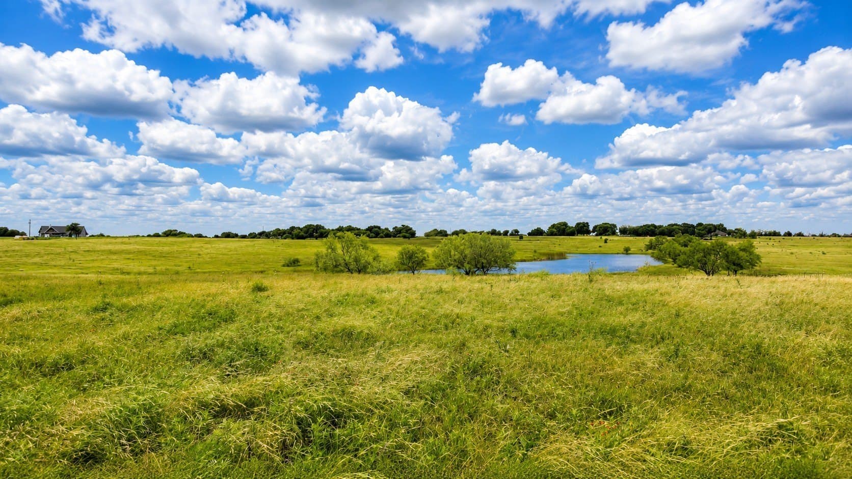 44.35 acres in Cooke County - photo 17