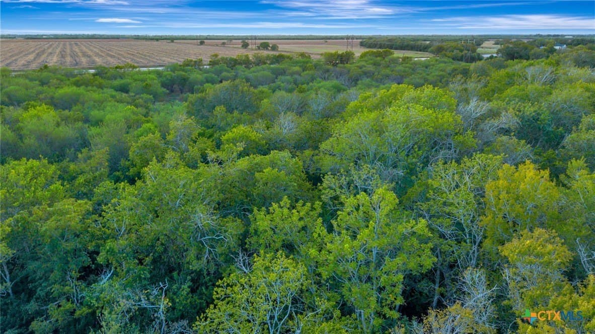 11.83 acres in Victoria County - photo 19