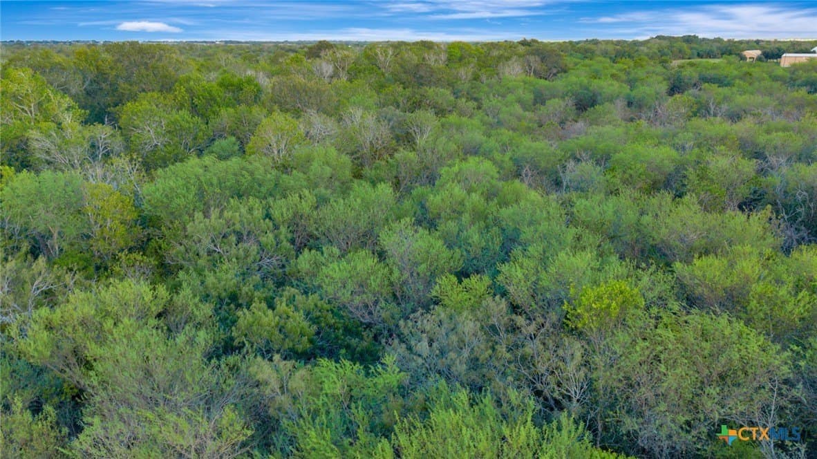 11.83 acres in Victoria County - photo 17