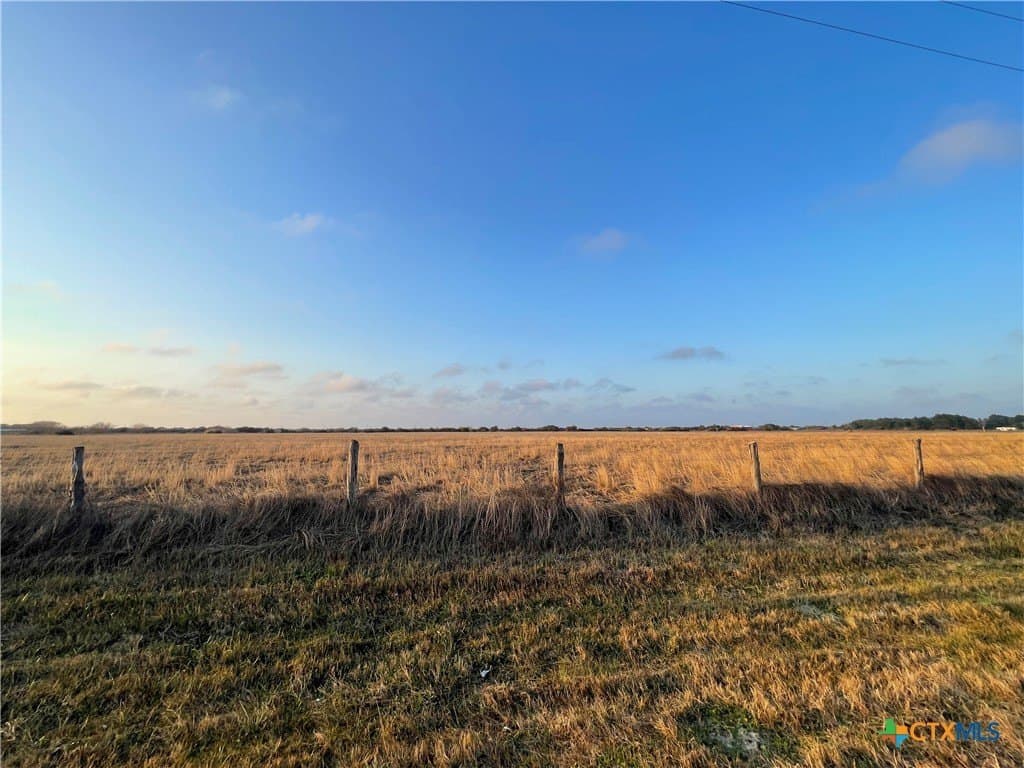 30 acres in Calhoun County gallery image 4