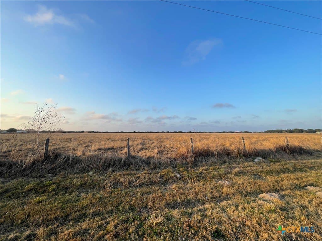 30 acres in Calhoun County gallery image 3