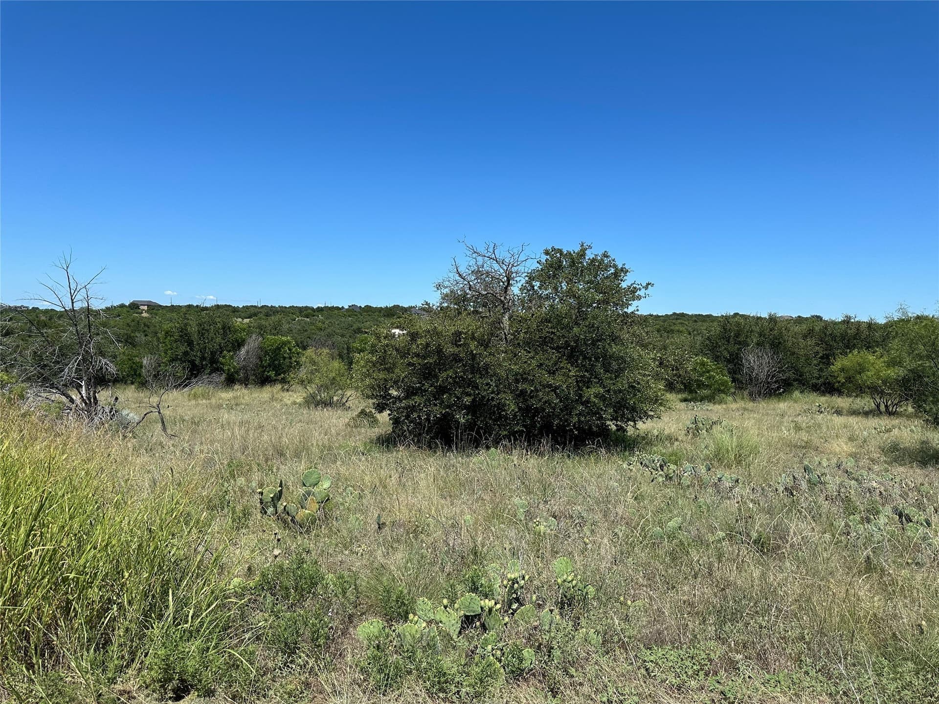 0.12 acres in Palo Pinto County gallery image 4