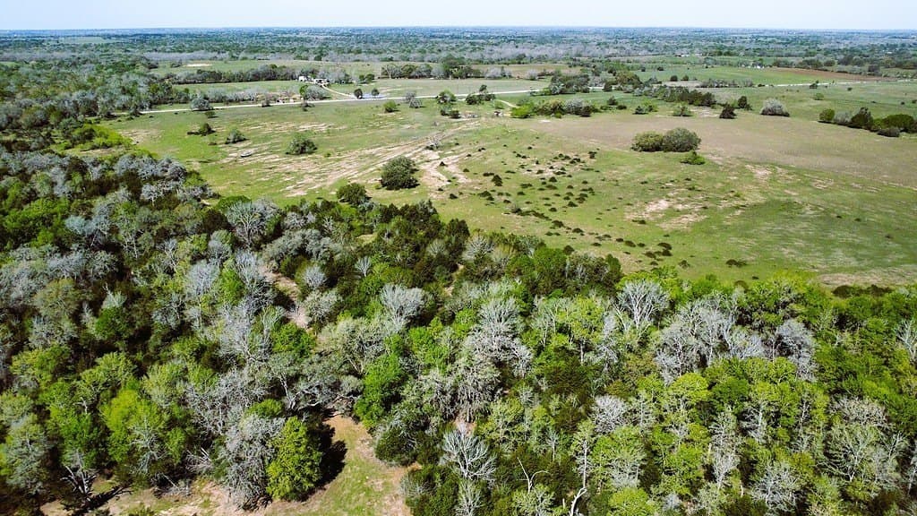 203.99 acres in Lavaca County - photo 4