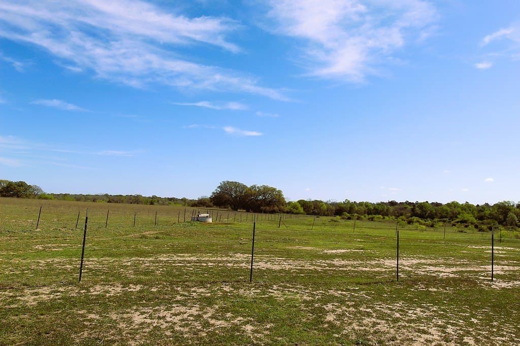 203.99 acres in Lavaca County - photo 22