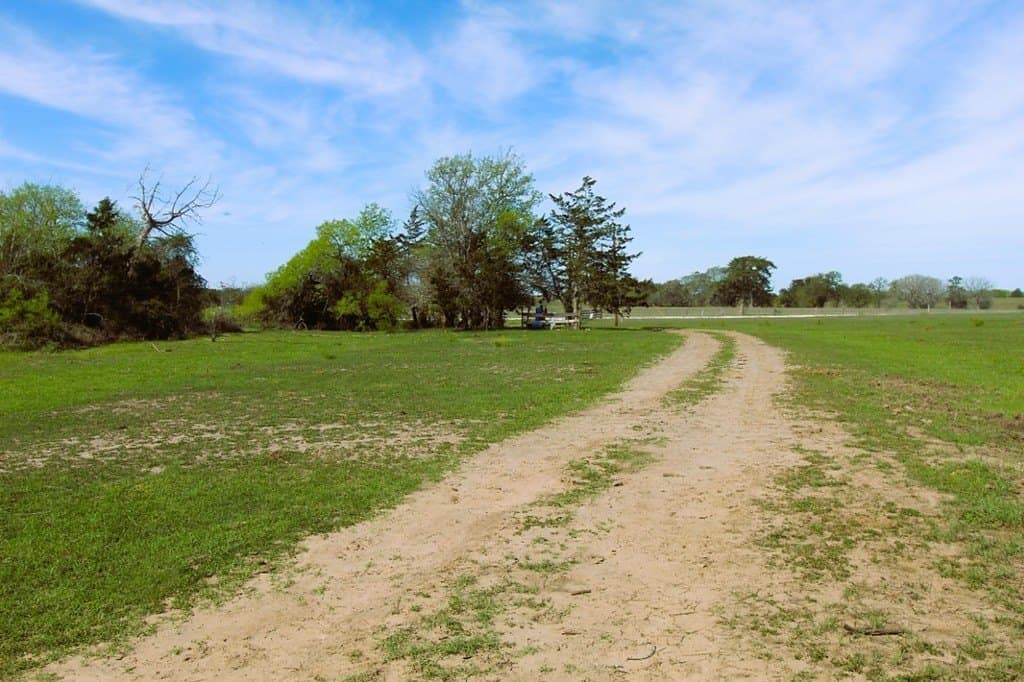 203.99 acres in Lavaca County - photo 12