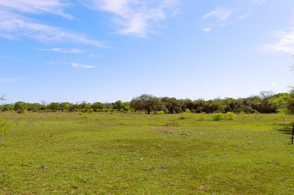 203.99 acres in Lavaca County - photo 24