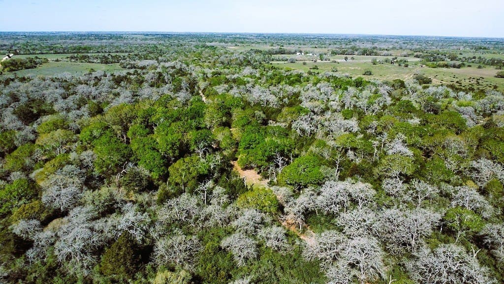 203.99 acres in Lavaca County - photo 27