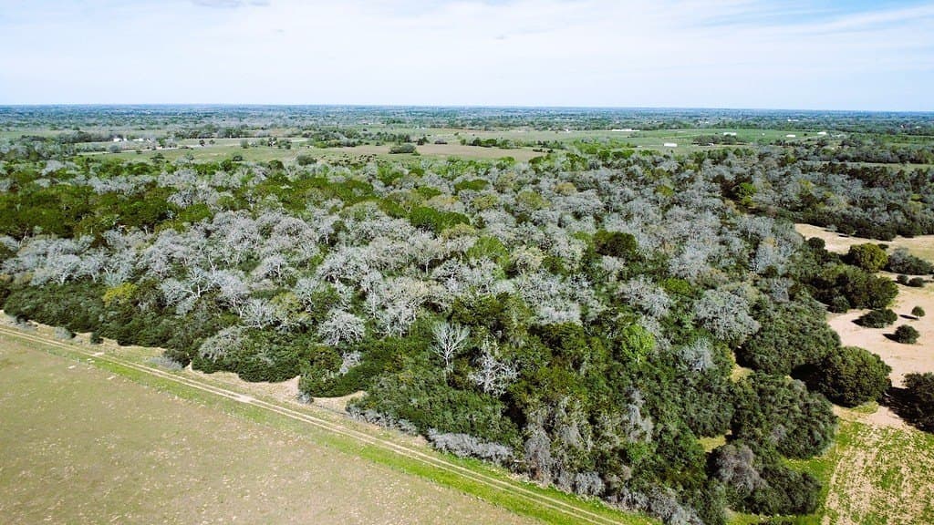 203.99 acres in Lavaca County - photo 28