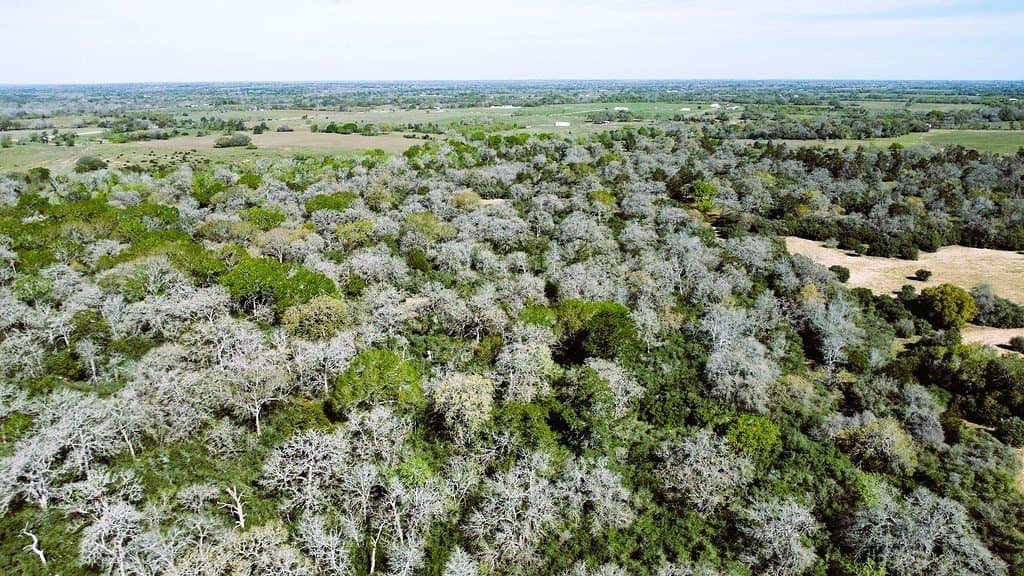 203.99 acres in Lavaca County - photo 16