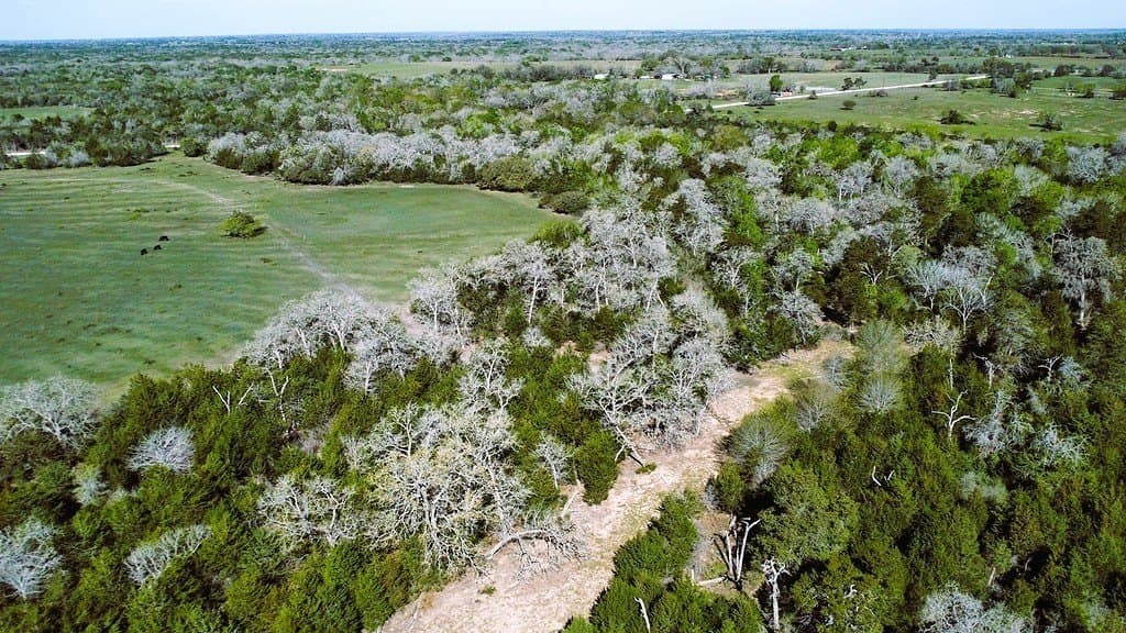 203.99 acres in Lavaca County - photo 13