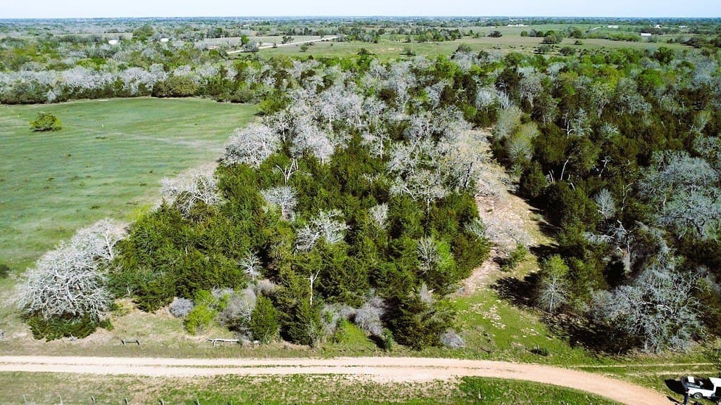 203.99 acres in Lavaca County - photo 6