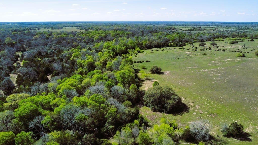 203.99 acres in Lavaca County - photo 3