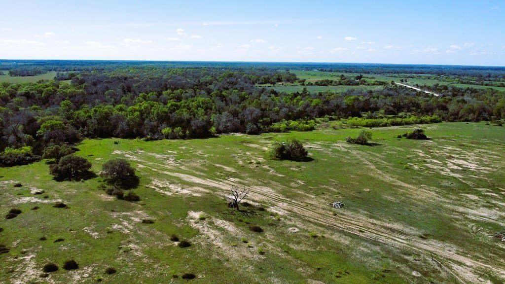 203.99 acres in Lavaca County - photo 9